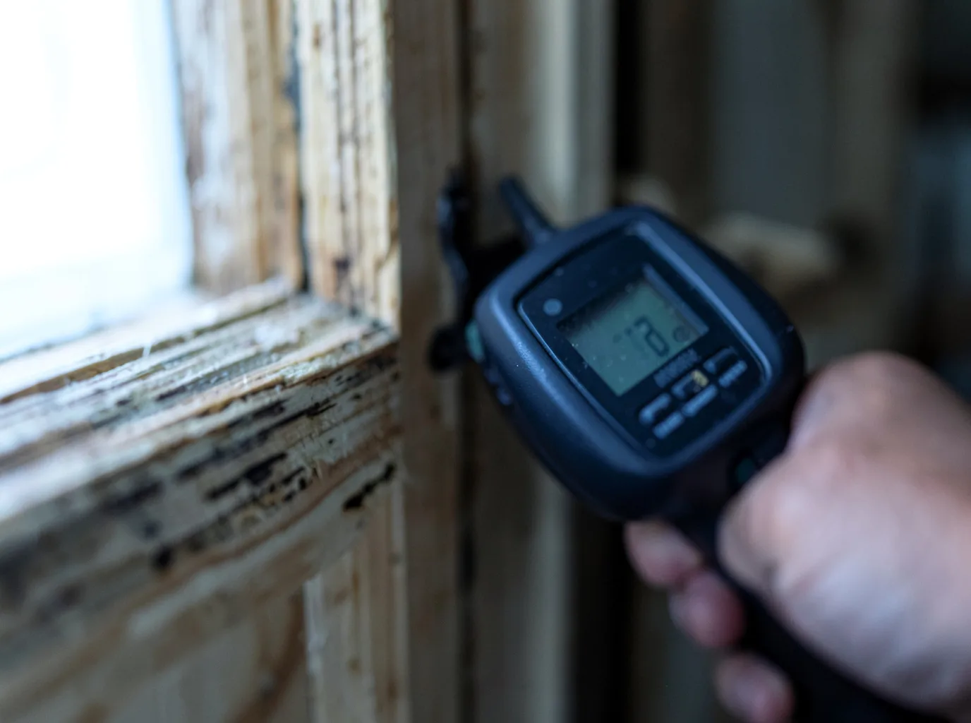 Commercial Water Damage Restoration in Trego, WI